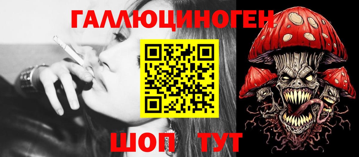 купить наркотик  Псилоцибиновые грибы GOLDEN TEACHER  Вход с VPN  Ишим 
