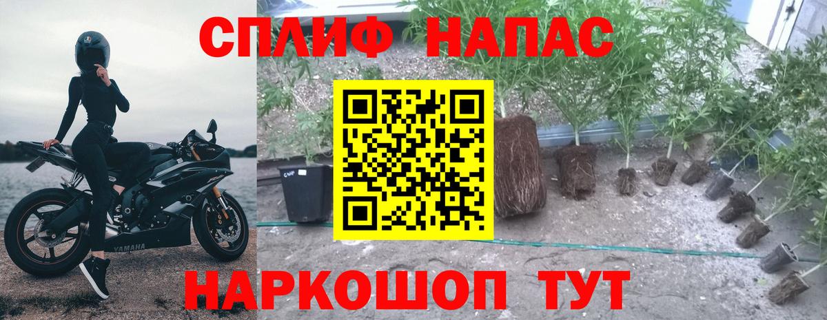 Бошки Шишки тримм Ишим